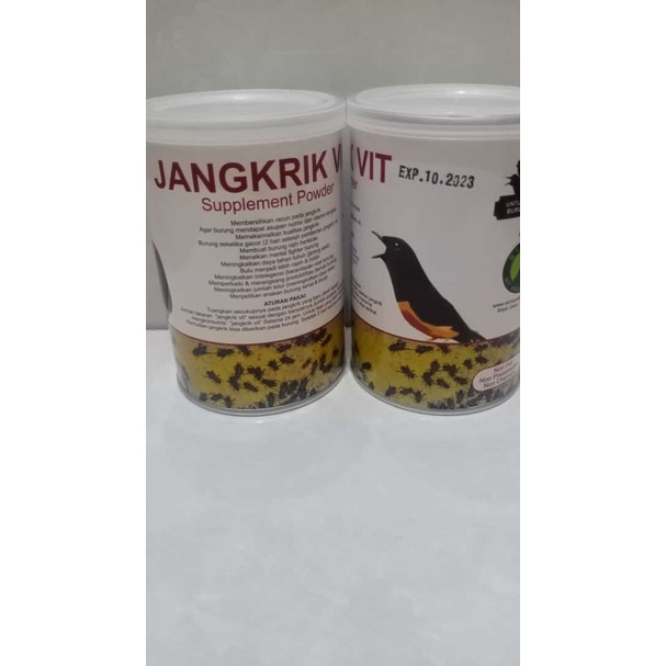 PAKAN KHUSUS JANGKRIK UNTUK BURUNG MURAI KACER CENDET JANGKRIK VIT