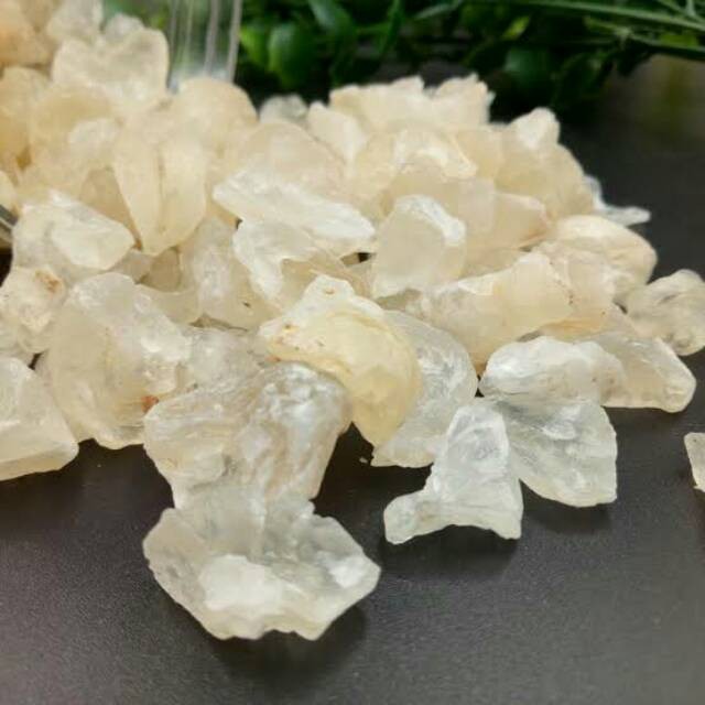 

Snow Bird Nets ( 50 gr,100 gr )