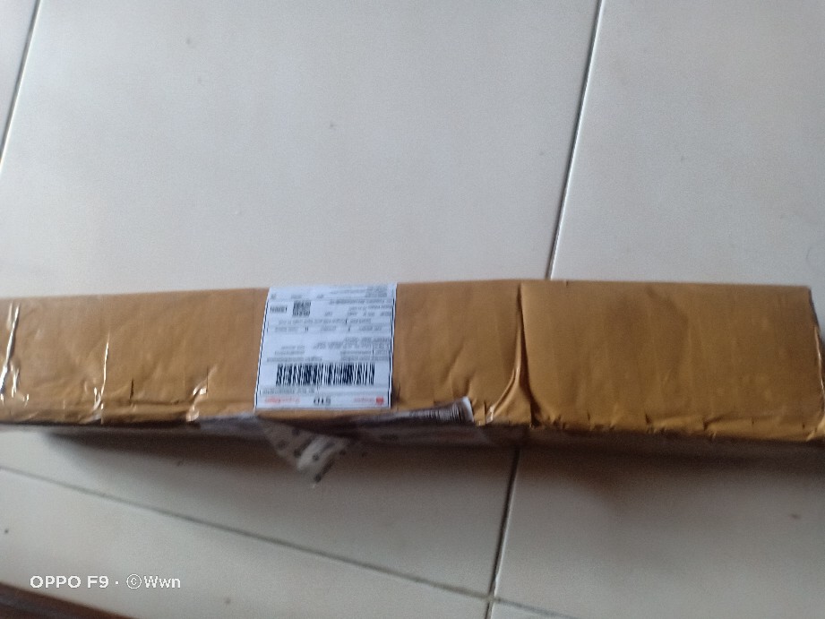 Tanaman Hias Chalatea Tisu White Fision