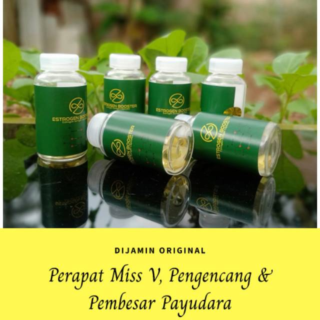 Pembesar Payudara Estrogen Booster
