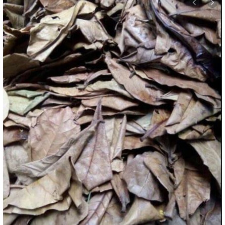 MURAH DAUN KETAPANG KERING GROSIR (250 GRAM)