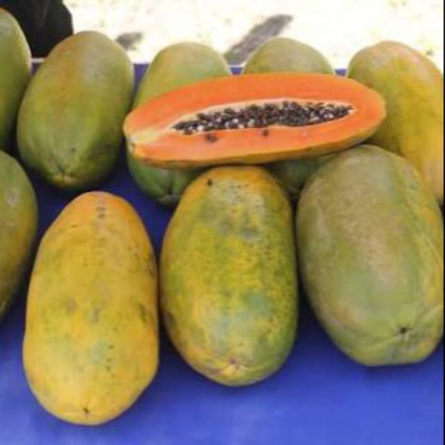 

Pepaya california