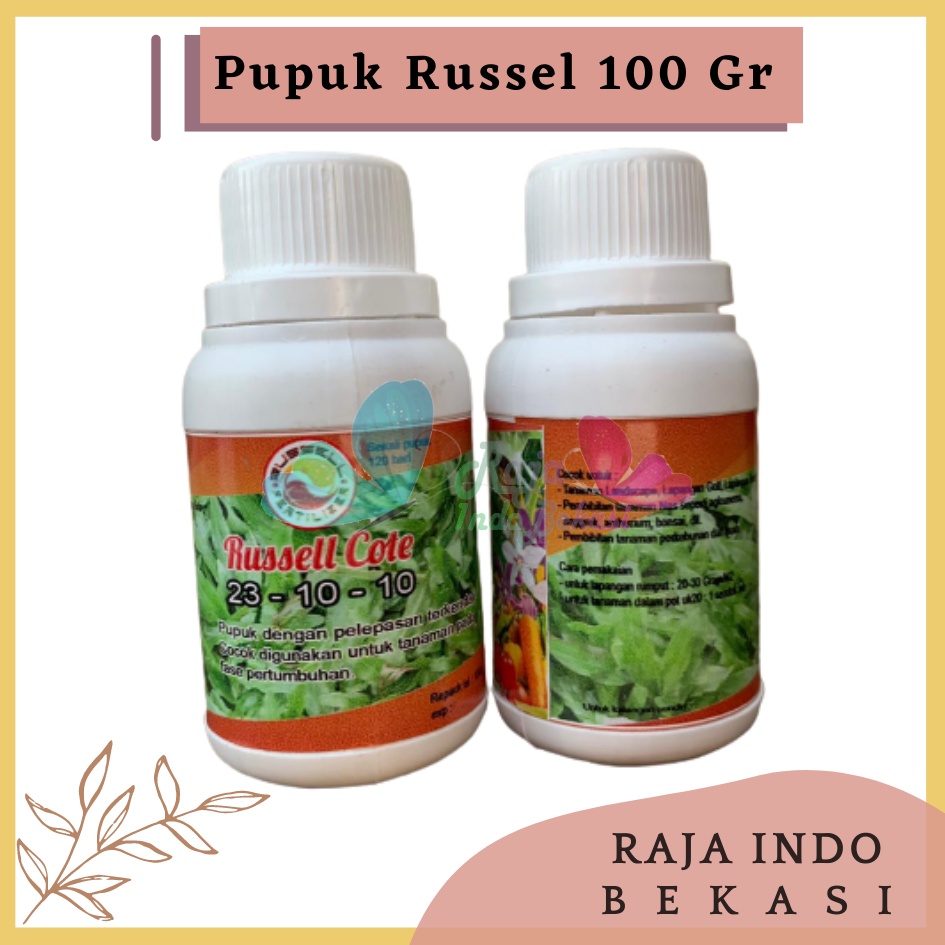 Pupuk Russell Cote Slow Release 23-10-10 100 Gr Pupuk Osmocote 23-10-10 Aglonema Monstera, dan Tanaman masa vegetatif Pupuk Slow Release Original Untuk Sawit Thailan Dus Bonsai - Russell Cote Slow Release 23-10-10 Pupuk Osmocote 23-10-10 Aglonema dll