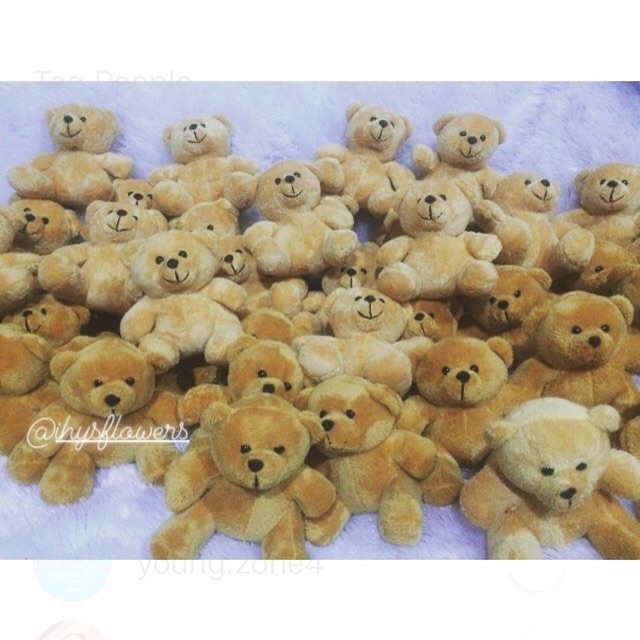 Boneka teddy kecil mini
