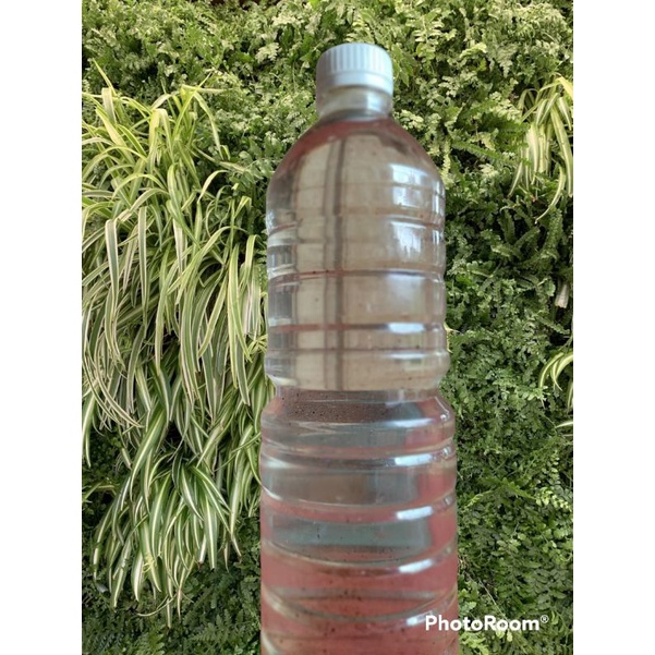 Asap Cair Grade B Food Grade