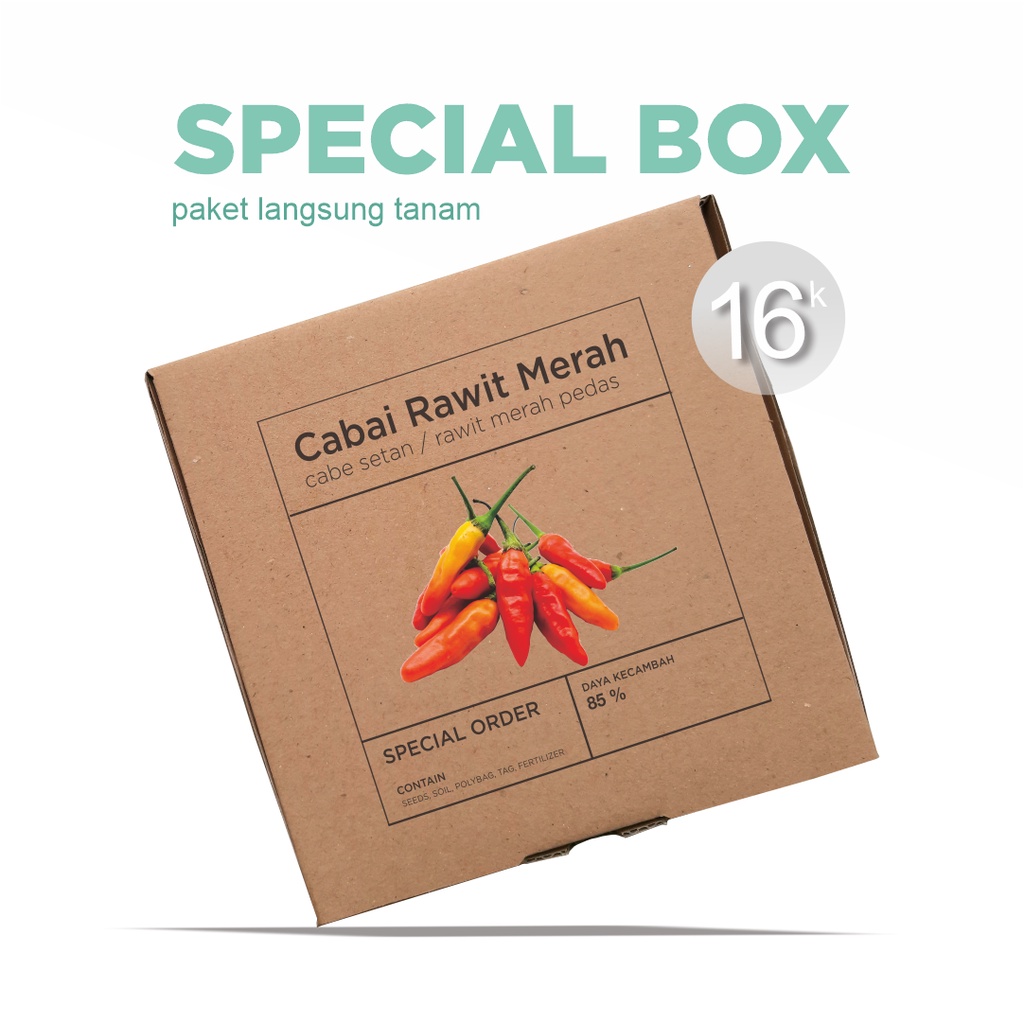 Paket Langsung Tanam - Gardening Kit - SPECIAL BOX - Benih Cabai Rawit Merah Cabe Setan Pedas Seeds