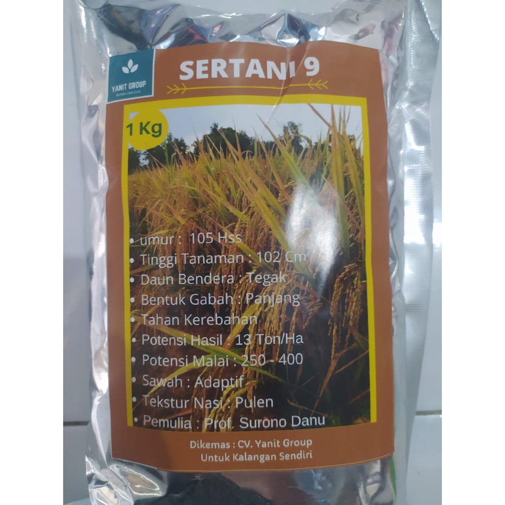 Benih Padi Sertani 9 kemasan 1kg