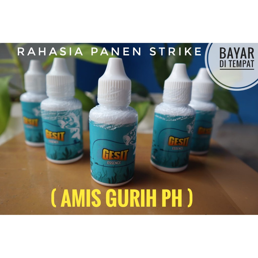 ESSEN GESIT AMIS GURIH PH IKAN MAS , NILA, BAWAL, GABUS PATIN, LELE JITU SIAP KIRIM SIAP PAKAI