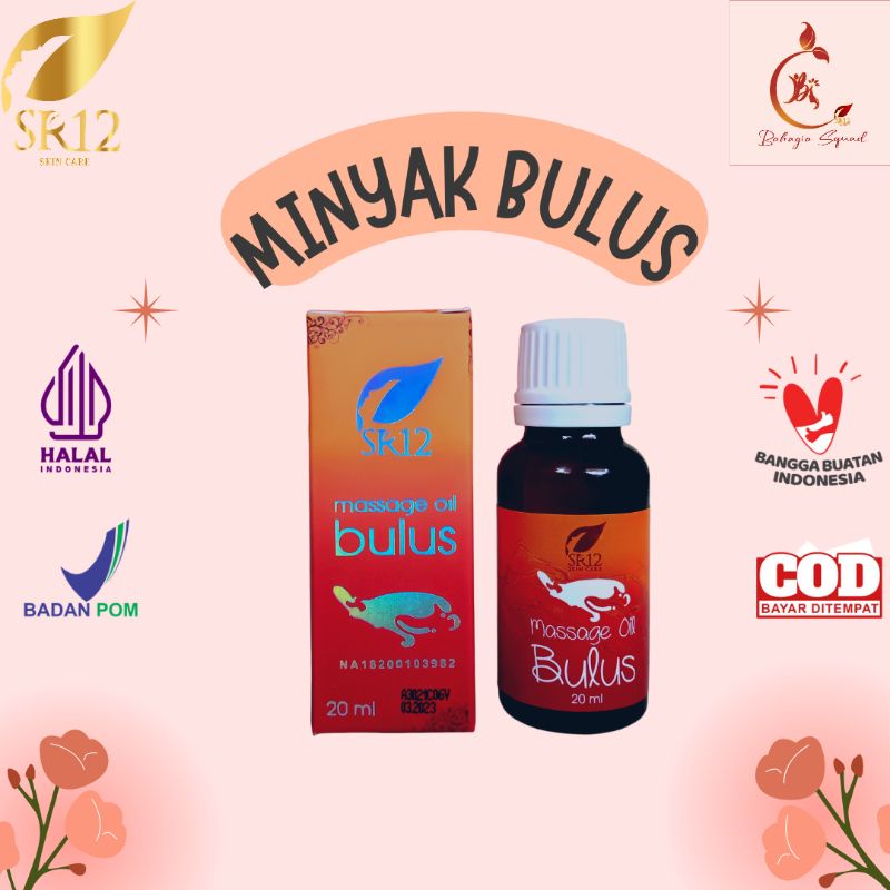 MINYAK BULUS BPOM - MINYAK BULUS VIRAL - RAHASIA AWET MUDA WANITA - MINYAK OLES HERBAL - MINYAK BALU