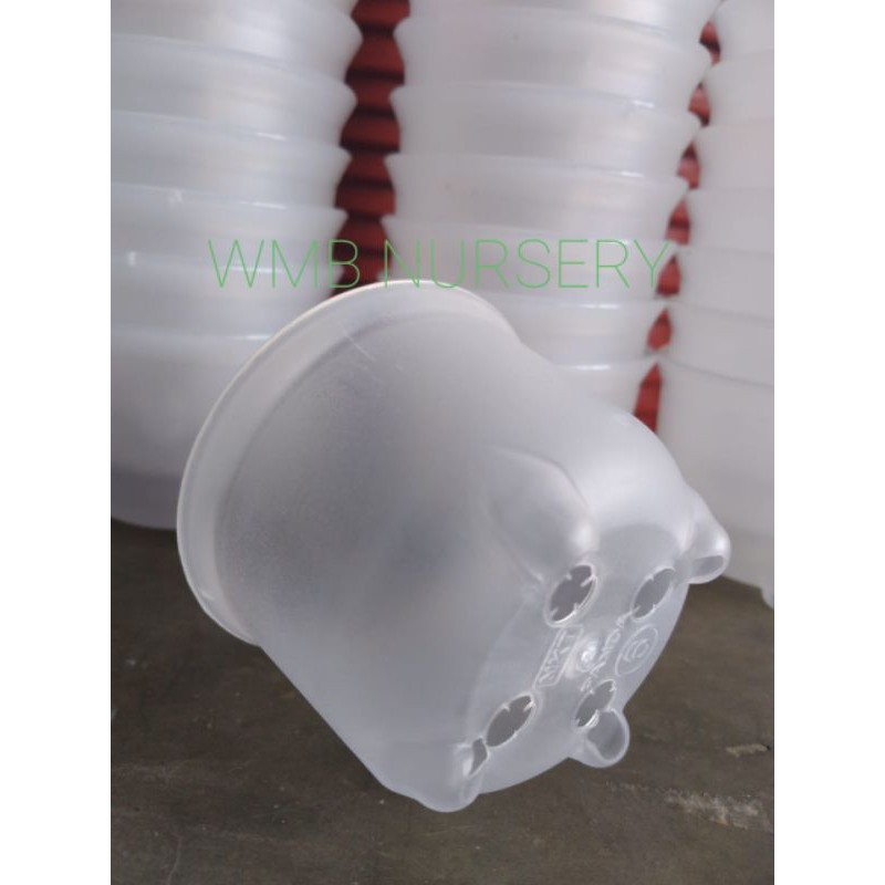 Pot NKT Panda 6 bening/transparan