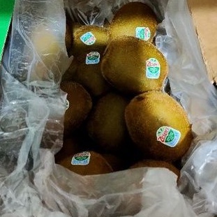 

Kiwi Green Zespri Per 1kg