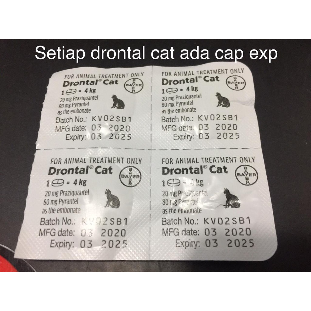 Obat Cacing Drontal Cat Buyer per Pcs/Tablet