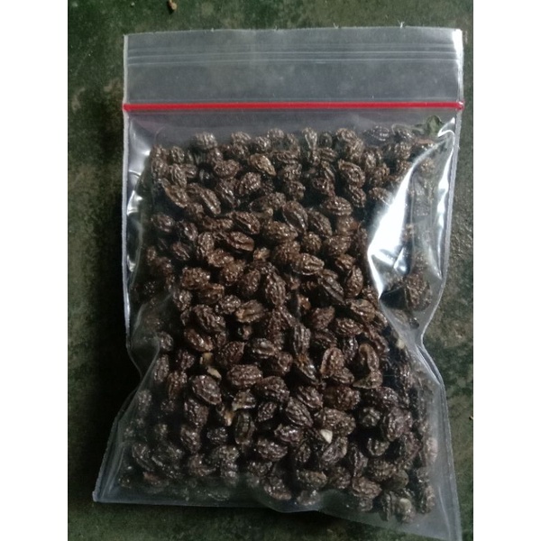 

Biji pepaya kering 10 gr