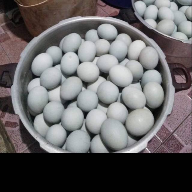

Telor asin