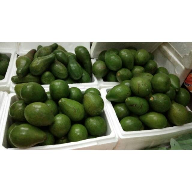 

Buah alpukat