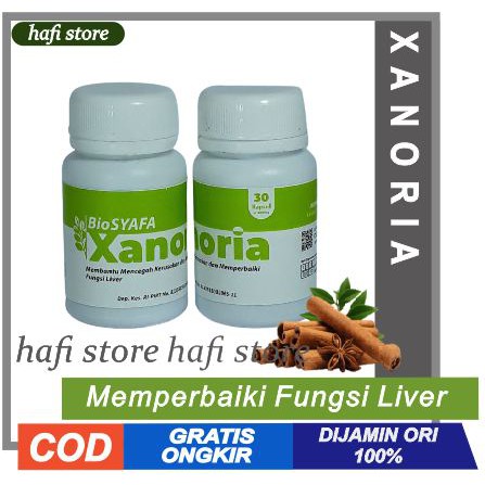 BIOSYAFA XANORIA Biosyafa Hepatitis PROBIOTIK SIKLUS