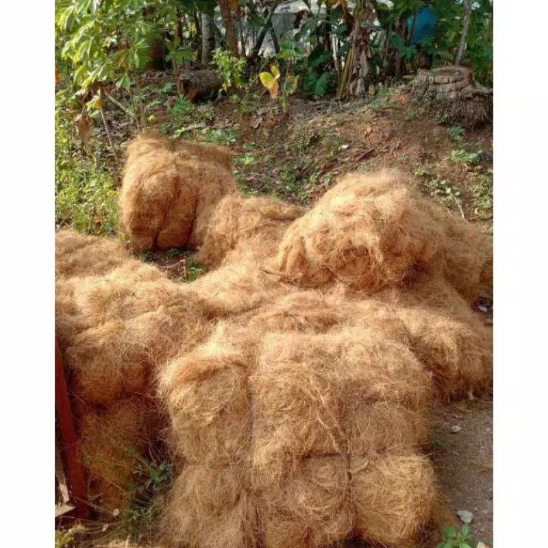 TERMURAH_Sabut kelapa/Serabut kelapa/Tapas/Cocofiber