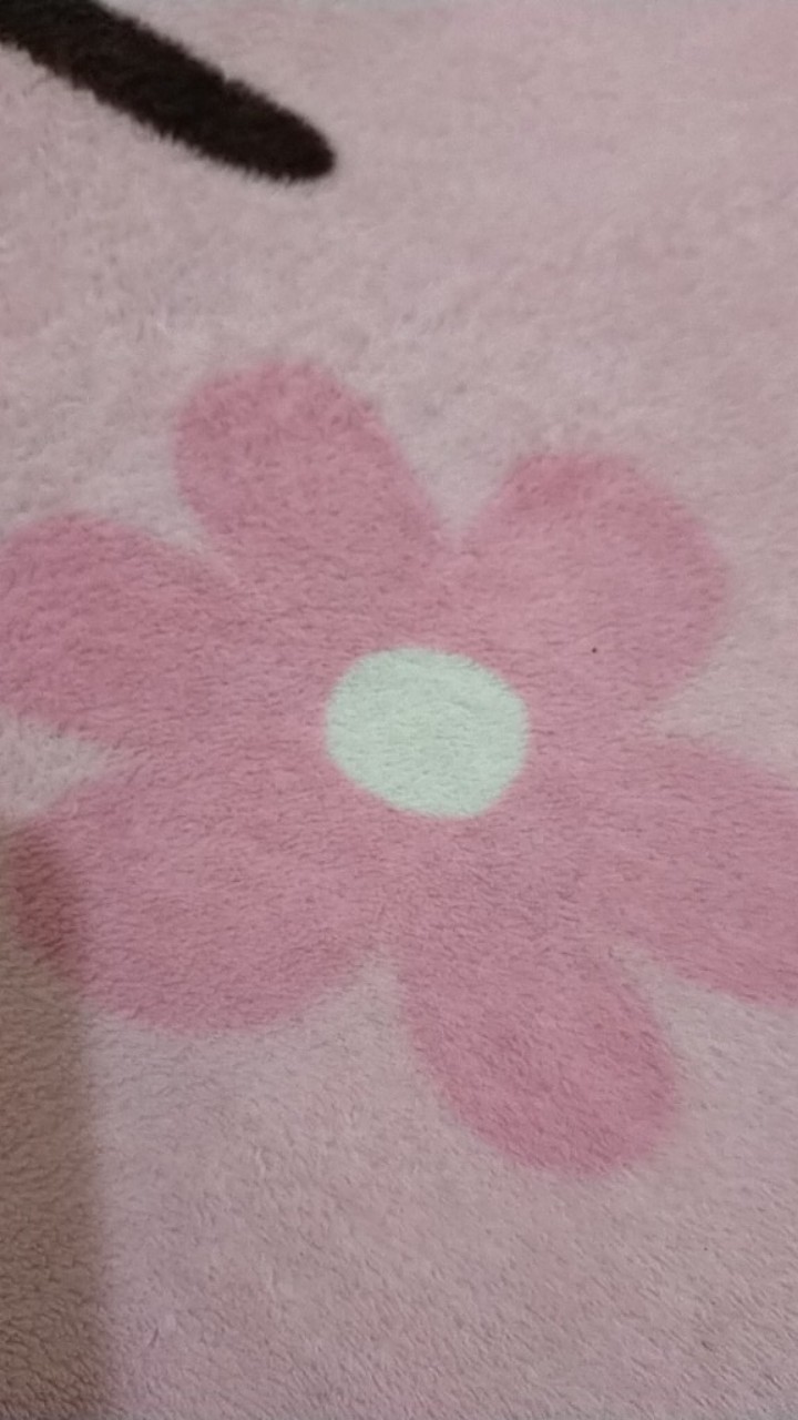 Bantal Donat Uk 40 * 40 Cm