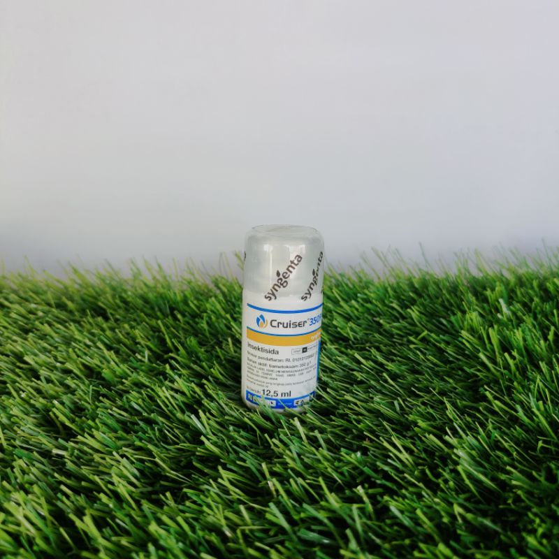 INSEKTISIDA CRUISER UNTUK TANAMAN JAGUNG ANTI BULE