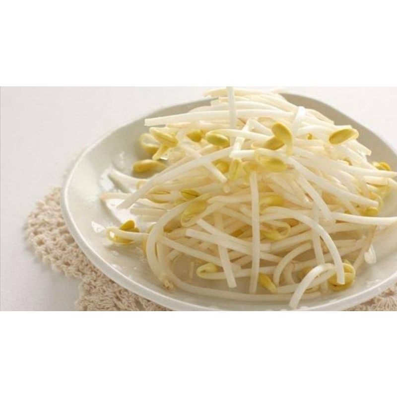 

Toge segar surga kebutuhan ku fresh sprouts toge vegetables