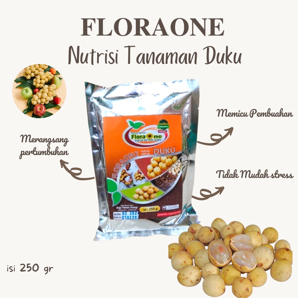 Pupuk Duku Agar Berbuah Lebat, Booster Hayati Buah Duku, Pupuk Organik Pohon Duku, Pupuk Booster Duk