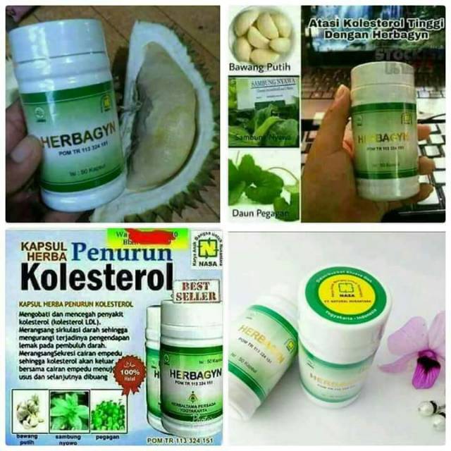 Obat herbal penurun kolesterol - Herbagyn NASA