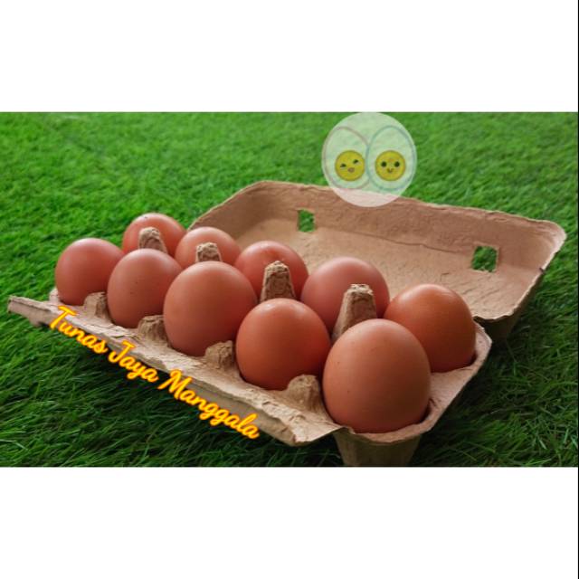 Paper egg box 10 lubang/ tray egg /kotak telur bahan kertas