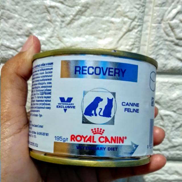 Royal Canin RECOVERY