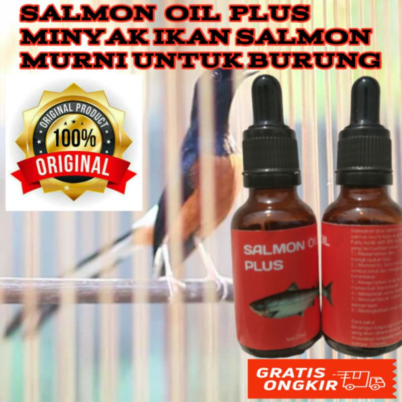 Salmon Oil Plus Asli Murni Minyak Ikan Salmon Untuk Burung Murai Batu Trotolan Lolohan