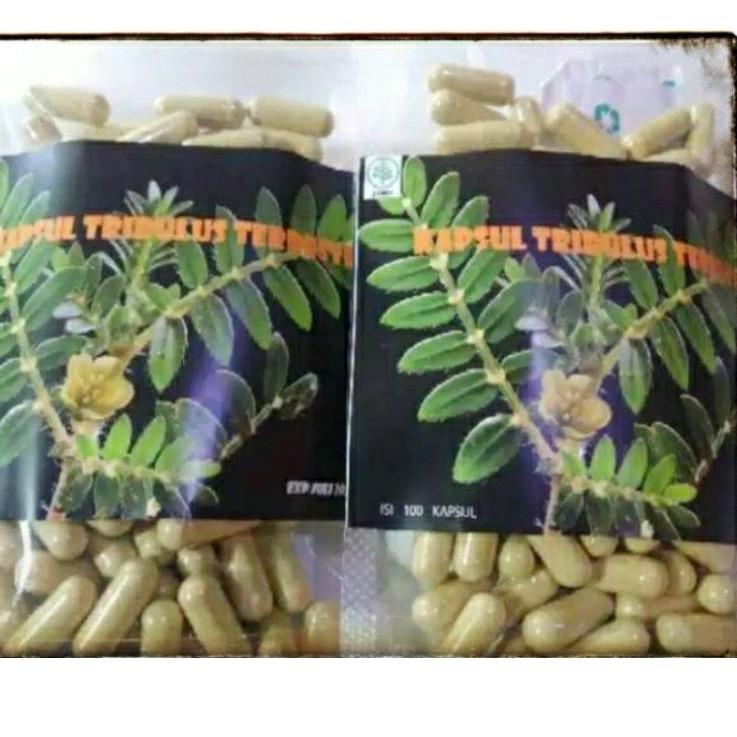 ☎ Kapsul Testosteron Booster Tribulus Terestris Peningkat Hormon Testosteron Suplemen Otot ヷ