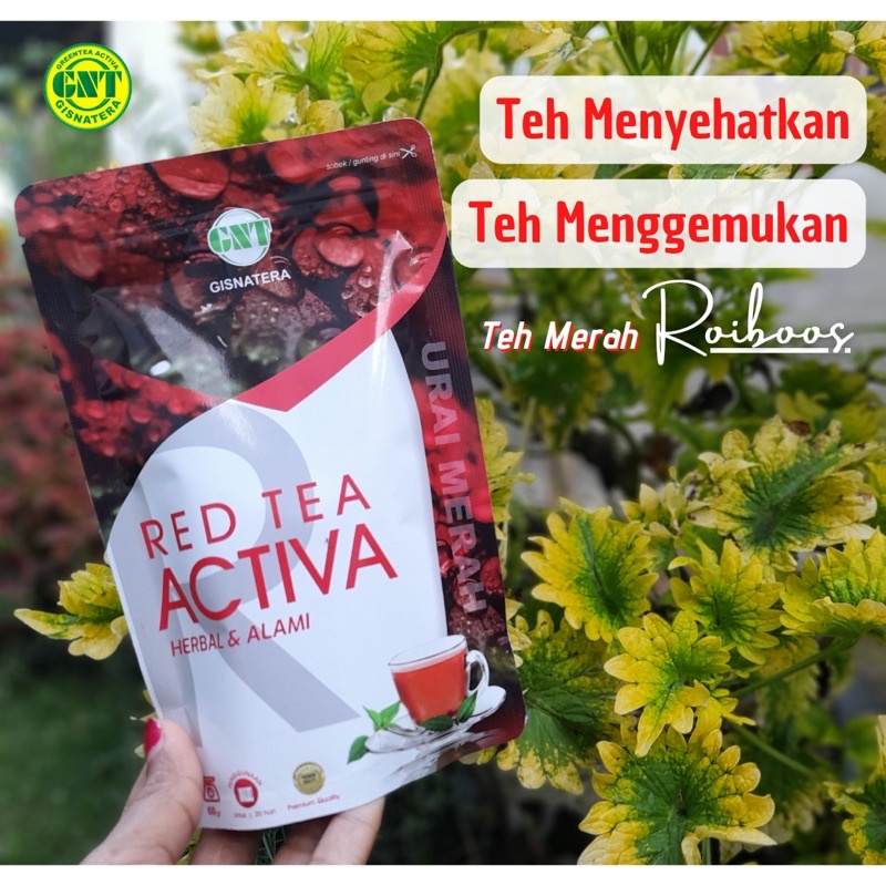 

Red Tea Activa (Teh Merah Penggemuk Herbal) Grosir & Eceran