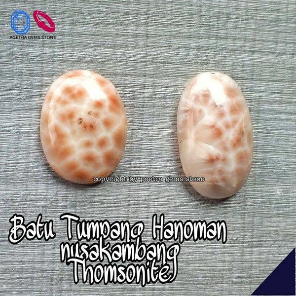 NATURAL BATU AKIK THOMSONITE HANOMAN BATU TUMPANG NUSAKAMBANGAN