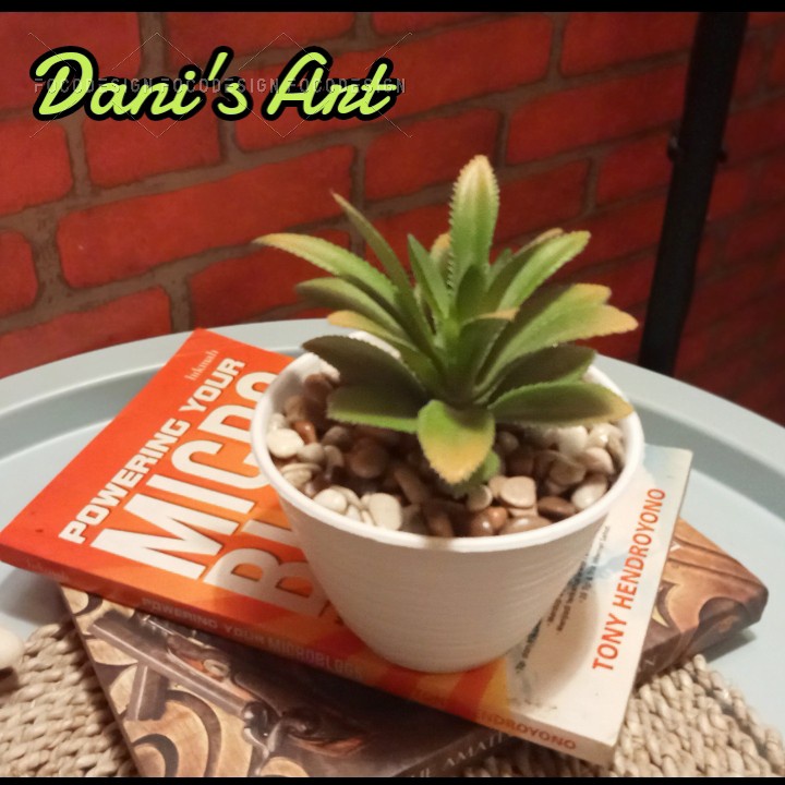 Kaktus Palm Plastik / kaktus artificial