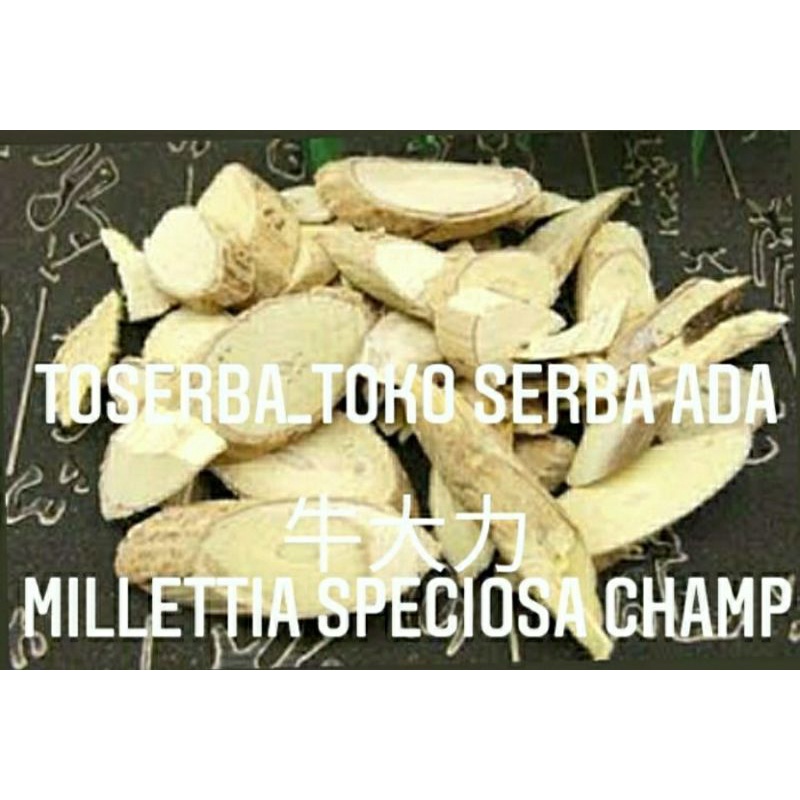 

100gr Herbal Niu Da Li 牛大力 Radix Millettiae Speciosae Grade A