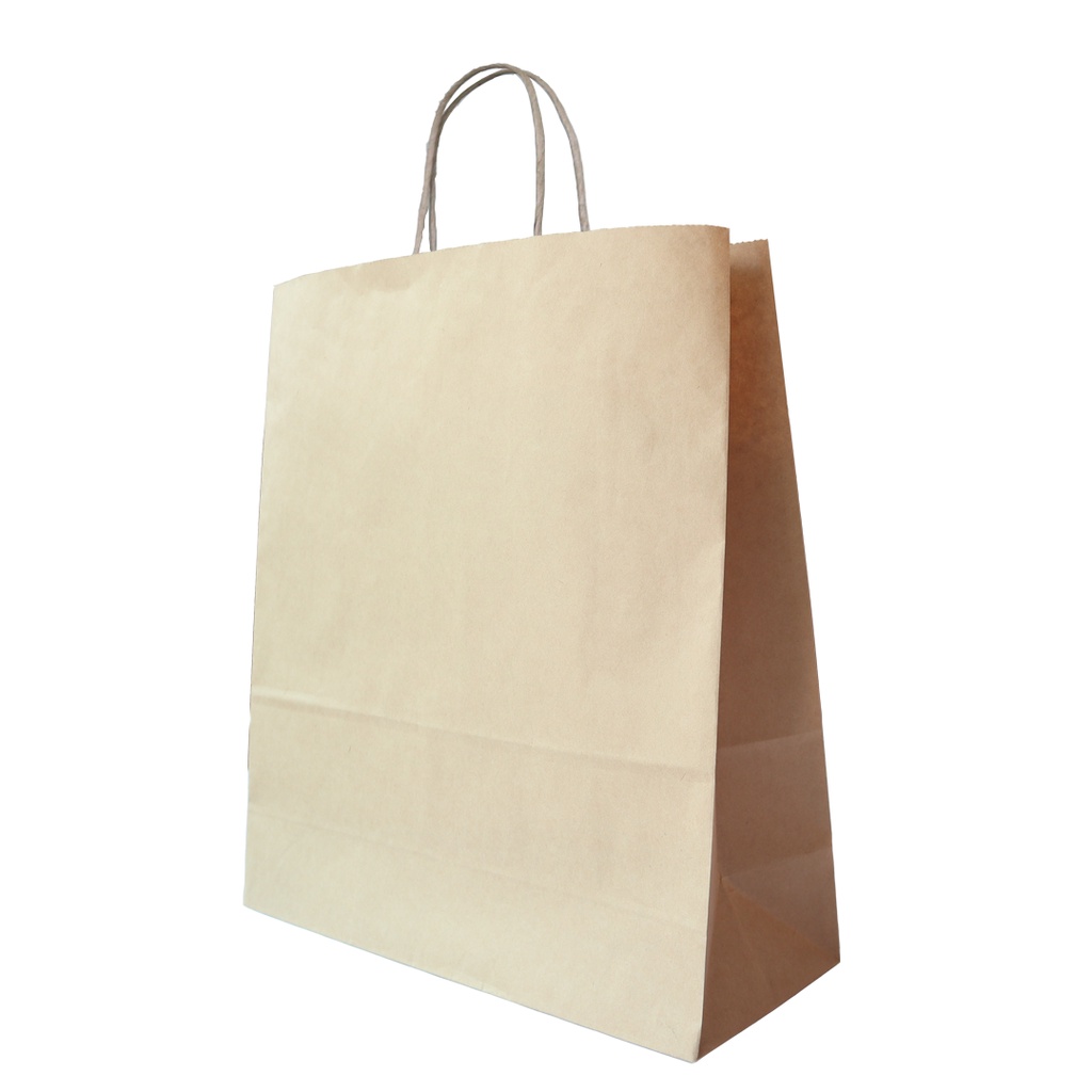 Tas Belanja Kantong Kertas Shopping Bag (SBG3-28X11X31.5)