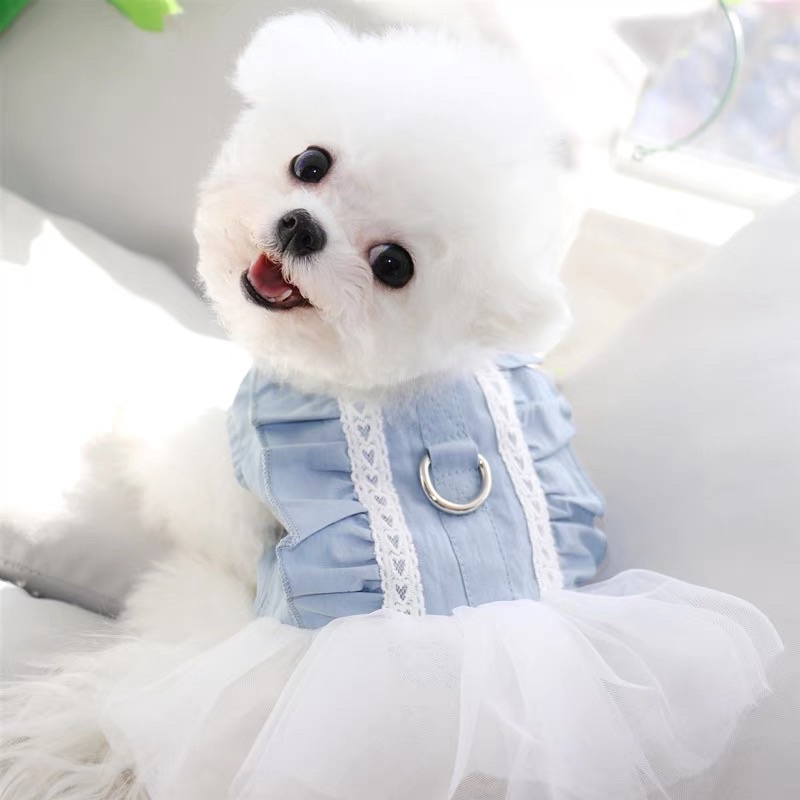 Mary korea tutu dress