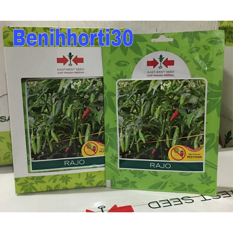 Benih Cabe Rawit Rajo isi 350 butir