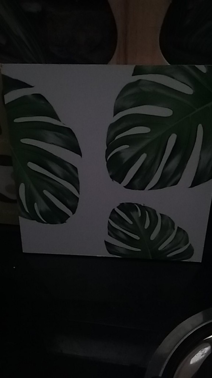 Wp Project Hiasan Dinding Walldecor Pajangan Dinding Shabby Chic Tropical Monstera