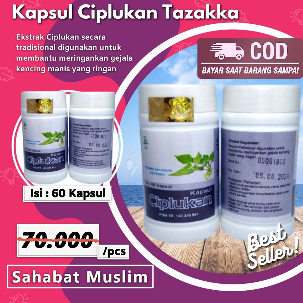 

Kapsul Ciplukan Tazakka - Obat Herbal atasi Prostat Bronchitis