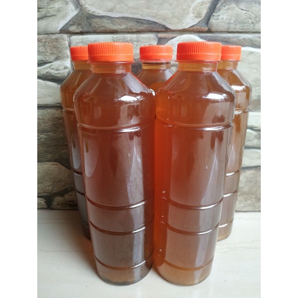 air cacing tanah / air rebusan cacing / obat typus