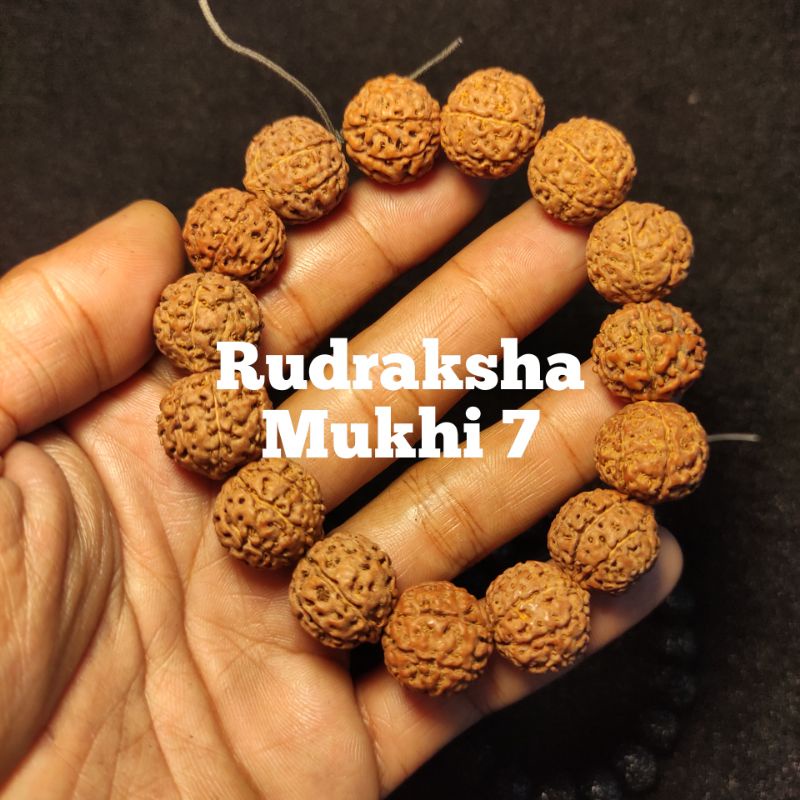 gelang rudraksha mukhi 7 size 18_22 mm