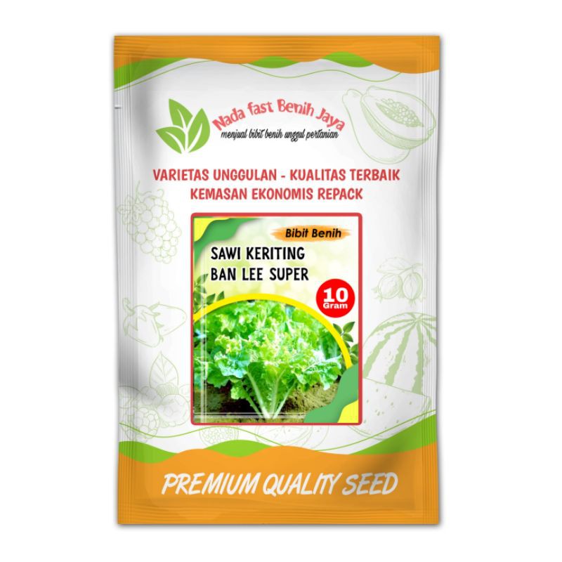 Benih sawi keriting super 10 gram / bibit sawi keriting - reniati benih mart