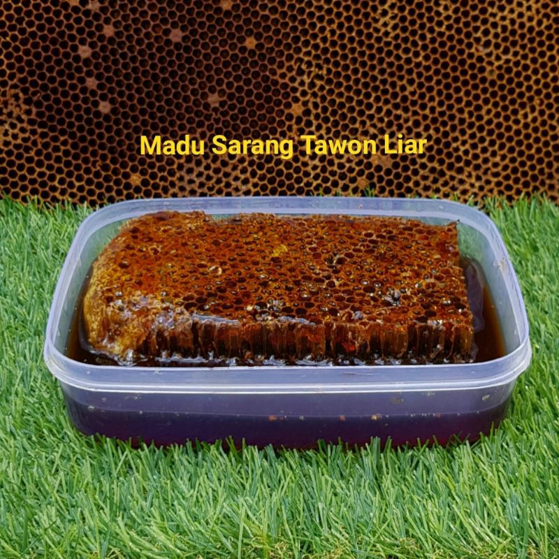 

MADU HUTAN ASLI Madu sarang.