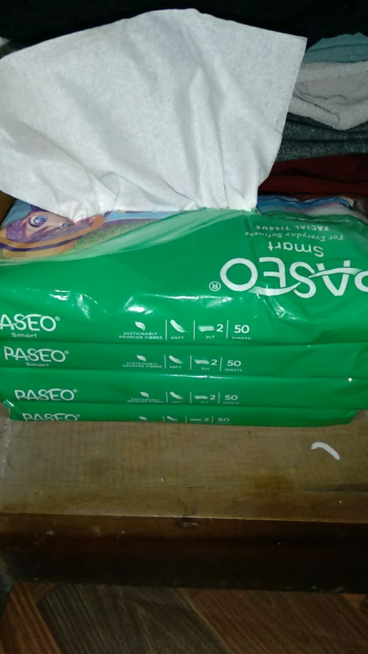 Paseo Smart ( Kecil ) 50s