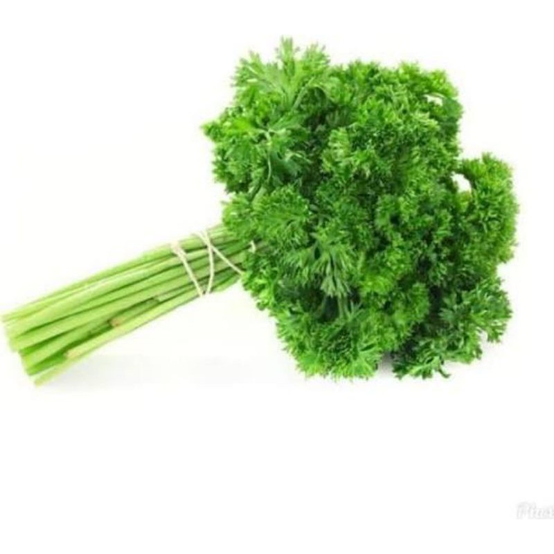 

[SAYUR EMAK] DAUN PARSLEY (PETERSELI) 500 GRAM /PRODUK LANGKA