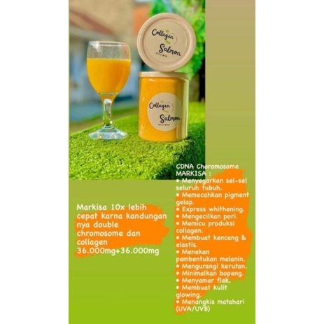 Collagen DNA Salmon (markisa)