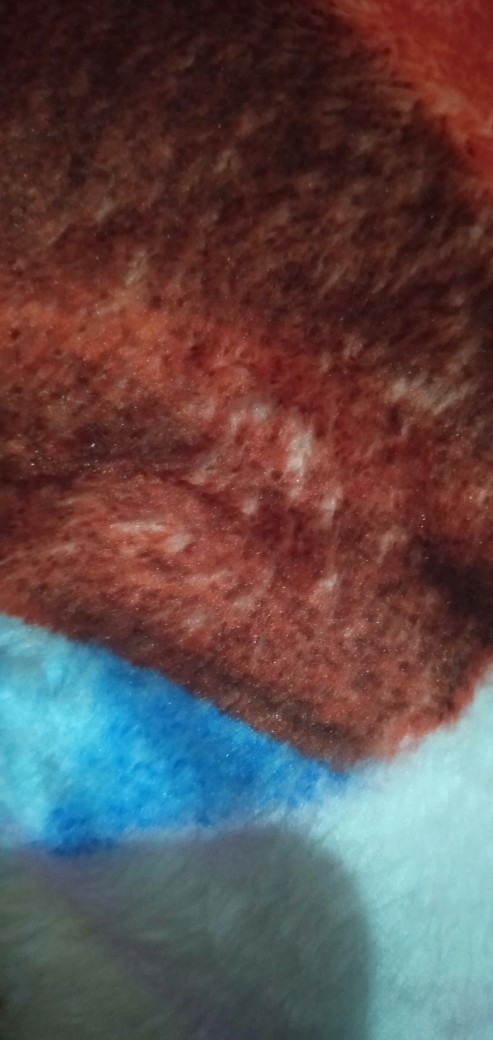 Ww Selimut Vito - Sutra Panel - Pilihan Motif Part 1 - 150x200 - Rosanna Group