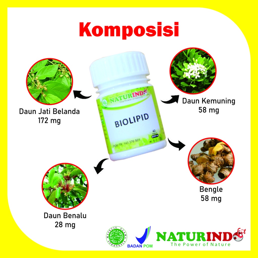 Biolipid Obat Herbal Kolesterol Menghancurkan lemak jahat melancarkan aliran darah Naturindo-1