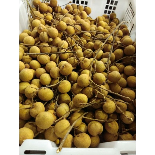 

lengkeng kelengkeng import /1kg