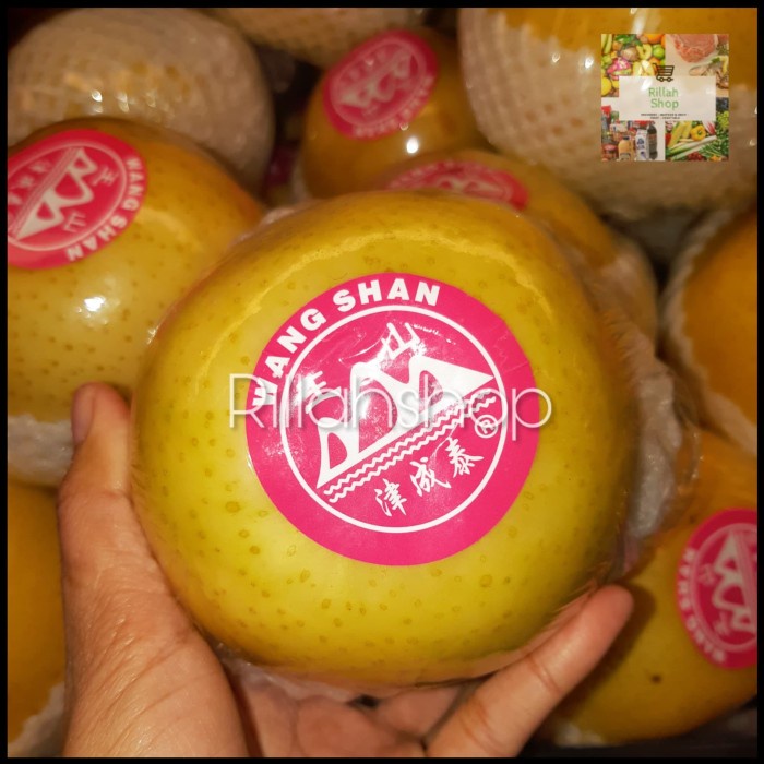 

Buah Pear Golden Kg/Pear Golden Whangsan Super